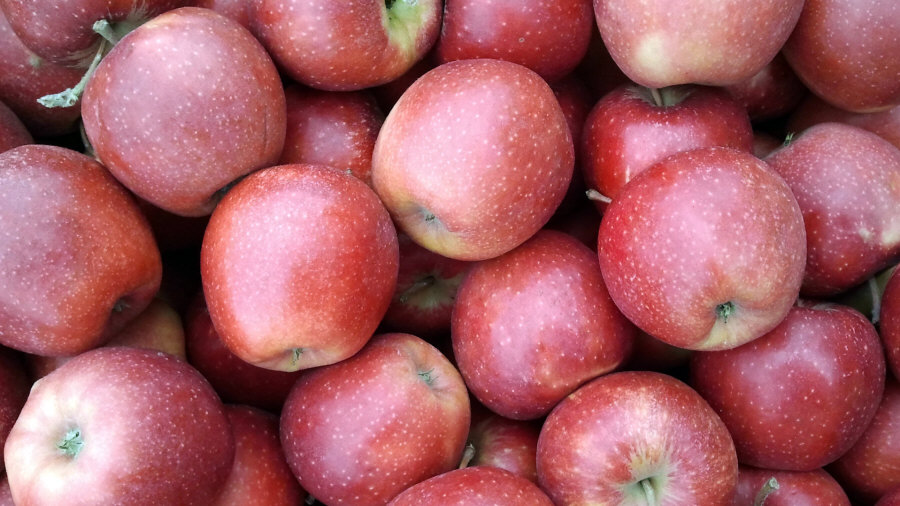 Poľský vývozca ovocia, jablká, hrušky, slivky, čerešne, veľkoobchod Poľsko 02